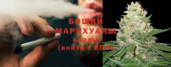 гидра Бородино