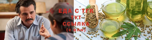 гидра Бородино