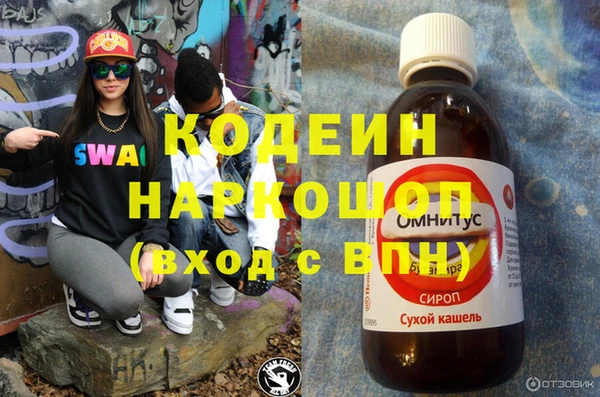 гидра Бородино