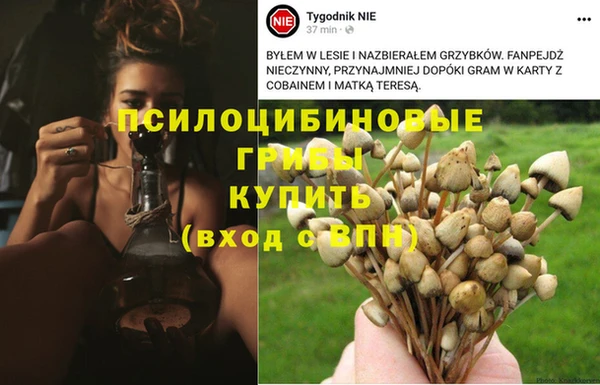 гидра Бородино