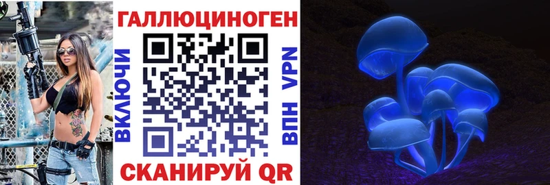 маркетплейс наркотические препараты  Гуково  Псилоцибиновые грибы Magic Shrooms 